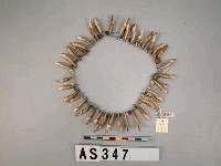 藏品(獸牙頸飾)的圖片